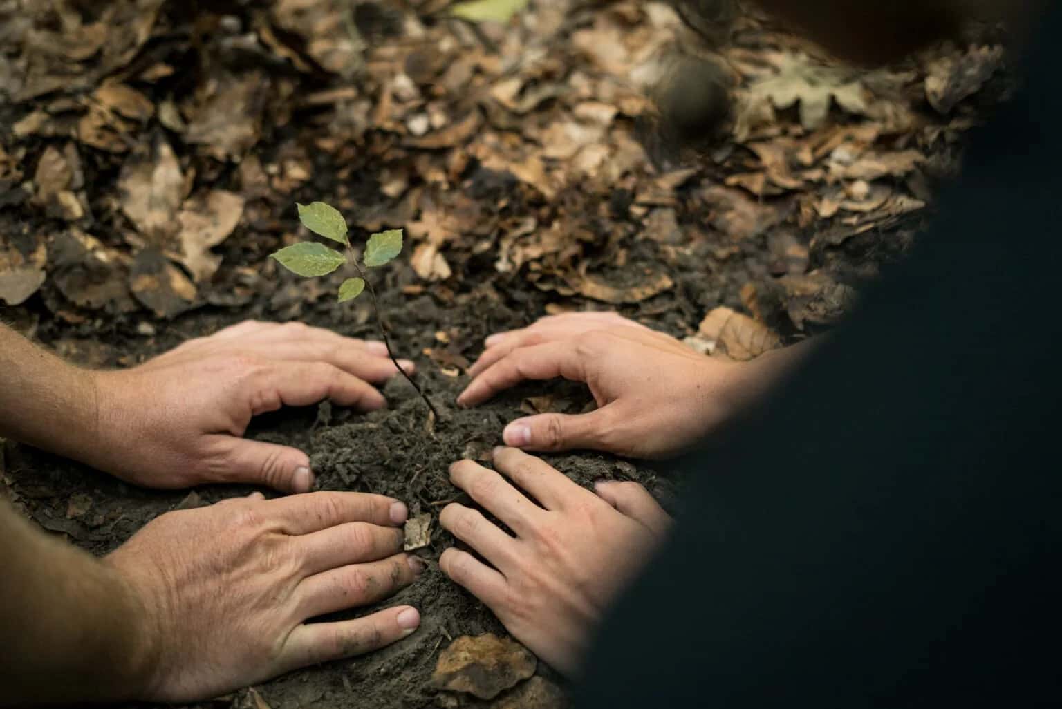 Making your impact visible and shareable