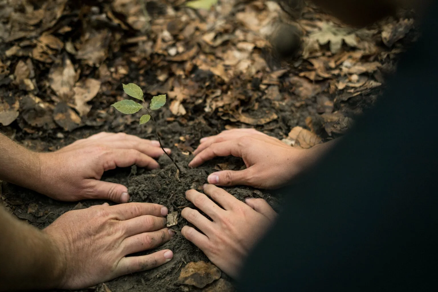 Making your impact visible and shareable
