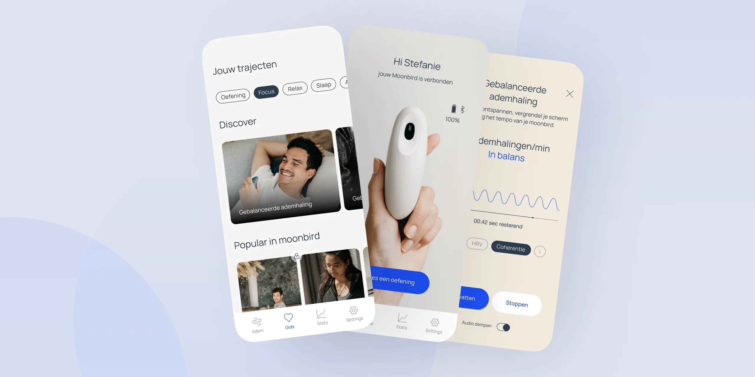 Breathing life into moonbird's digital dream